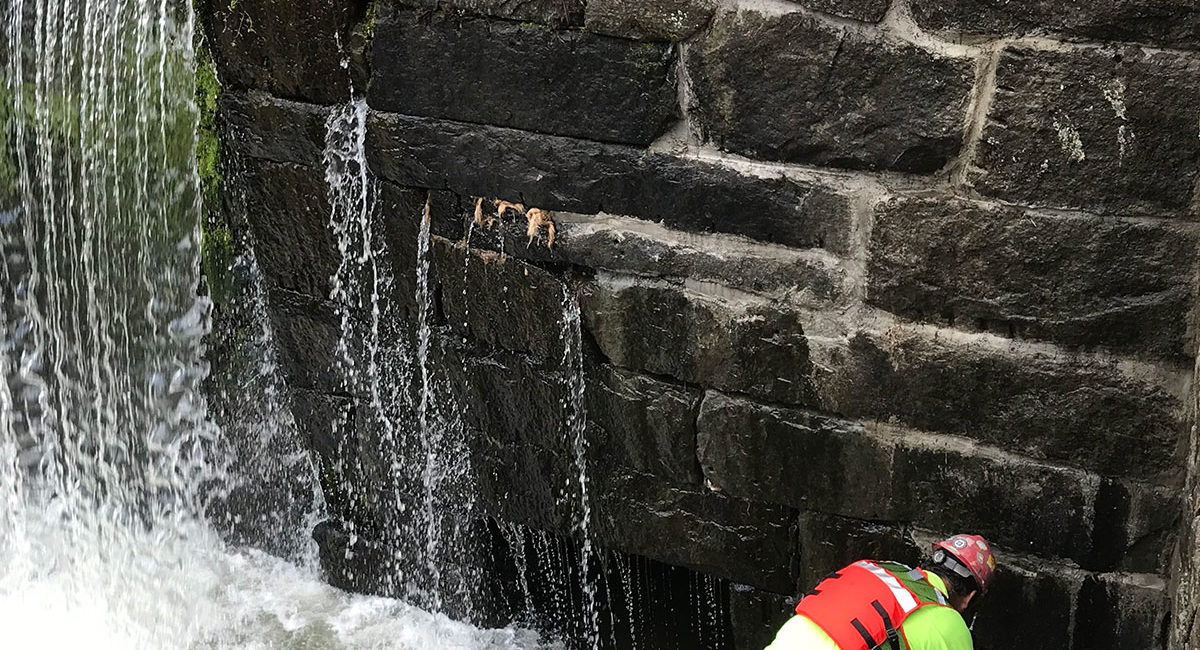 Bondsville Dam Phoenix Foundation Company